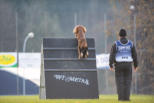 Schweizermeisterschaft 2019